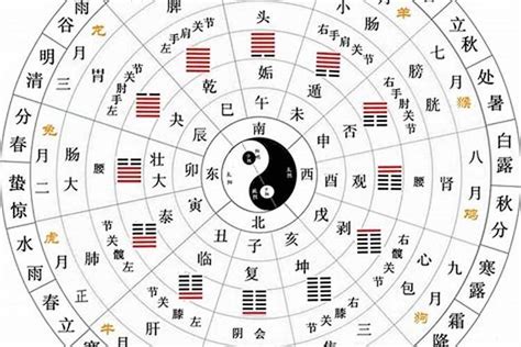 五行屬乜|如何知道一個人的五行屬什么